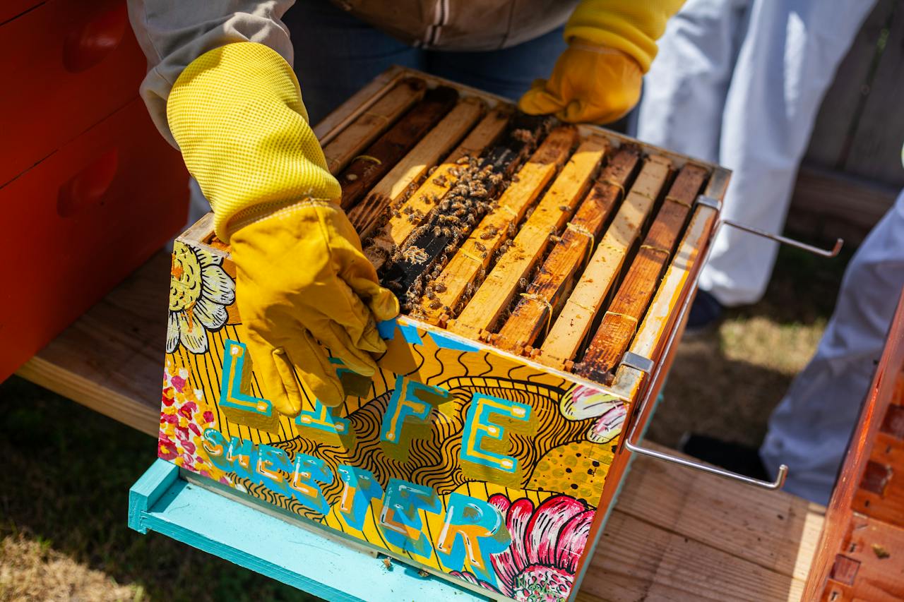Brown Wood Crate with Bees Photo